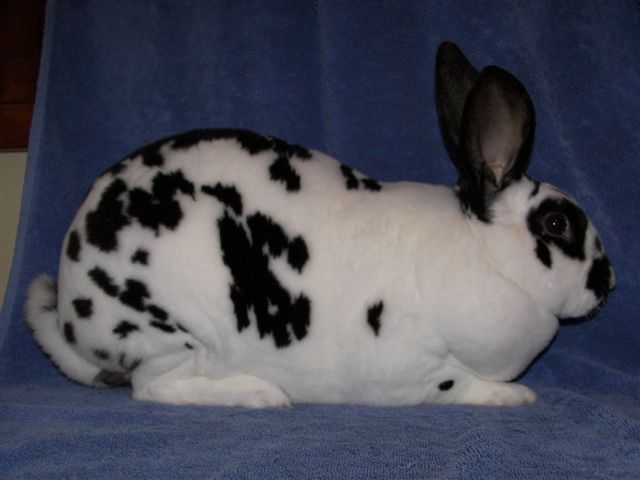 100_0065.jpg
