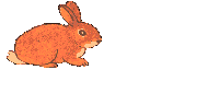 7bunnyani.gif