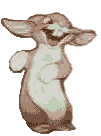 ani2bun.gif